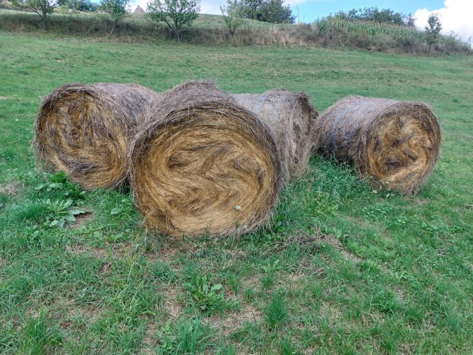Vând baloți urgent