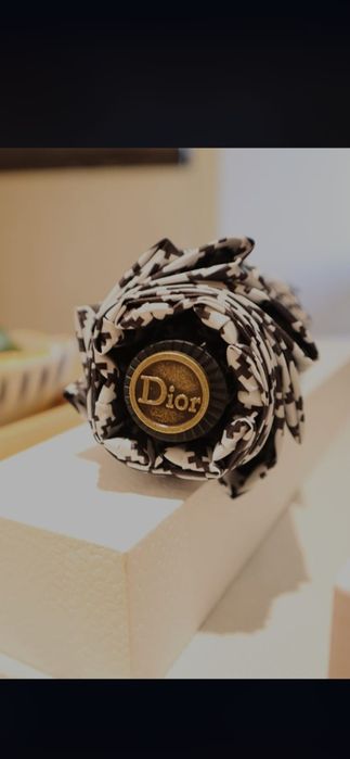 Umbrela Christian Dior, model 2026