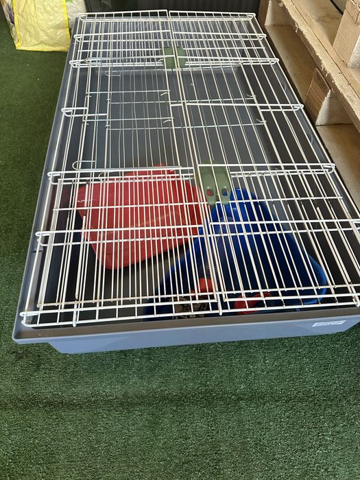 Cusca iepuras sau rozatoare