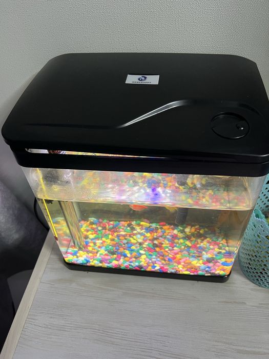 Продается аквариум с рыбками