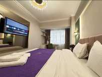 Regim Hotelier Iulius