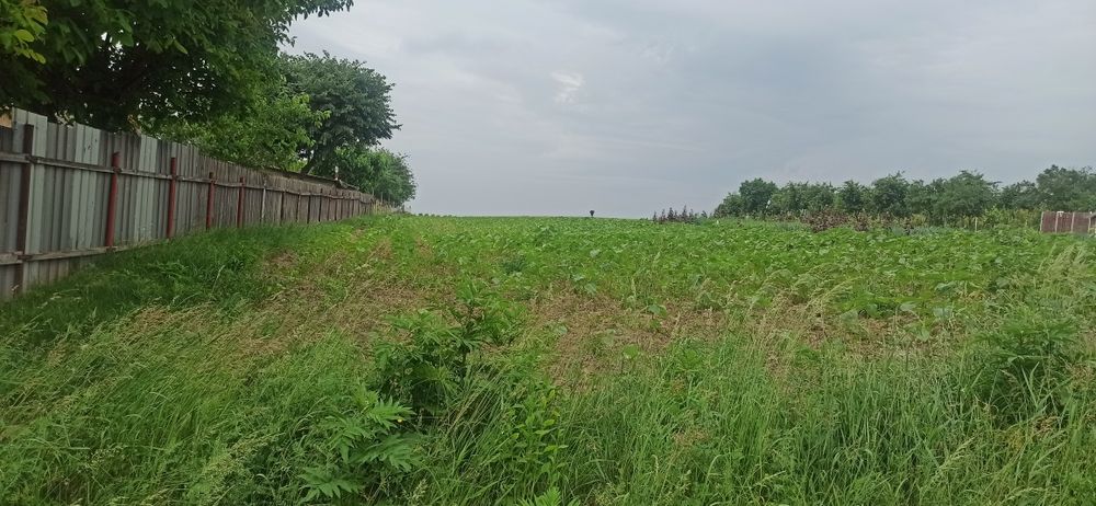 Teren de vânzare - Mănăstirea Doamnei, lângă Botoșani