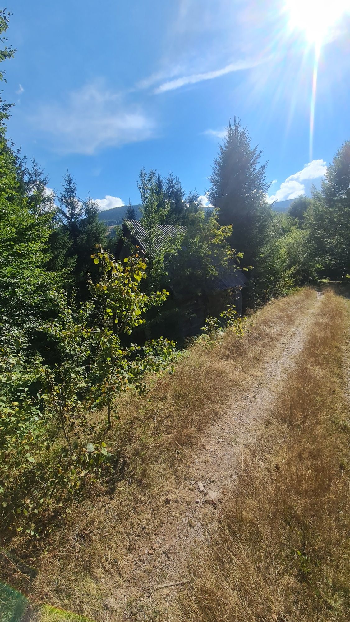 Vând teren zona Arieseni 2090mp