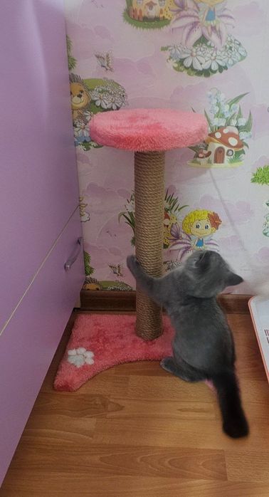 Когтеточка кошек. Джут. Прочная устойчивая. Когтеточки