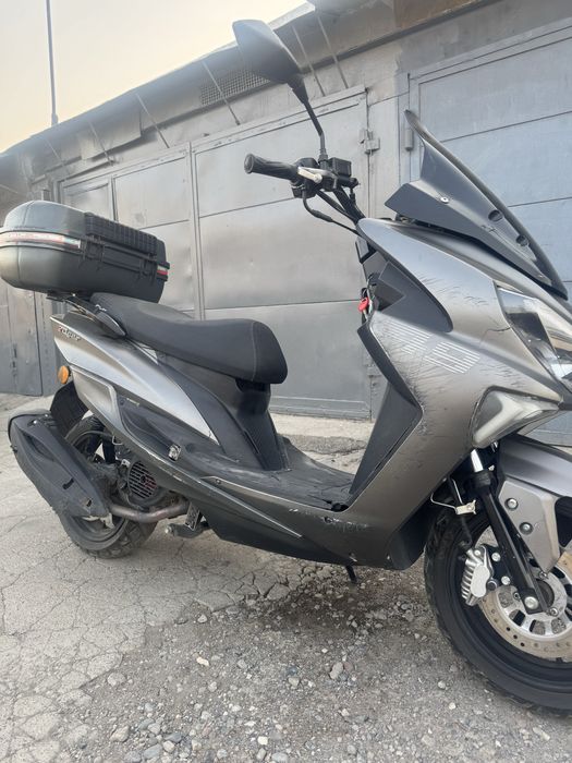 Скутер тайгер