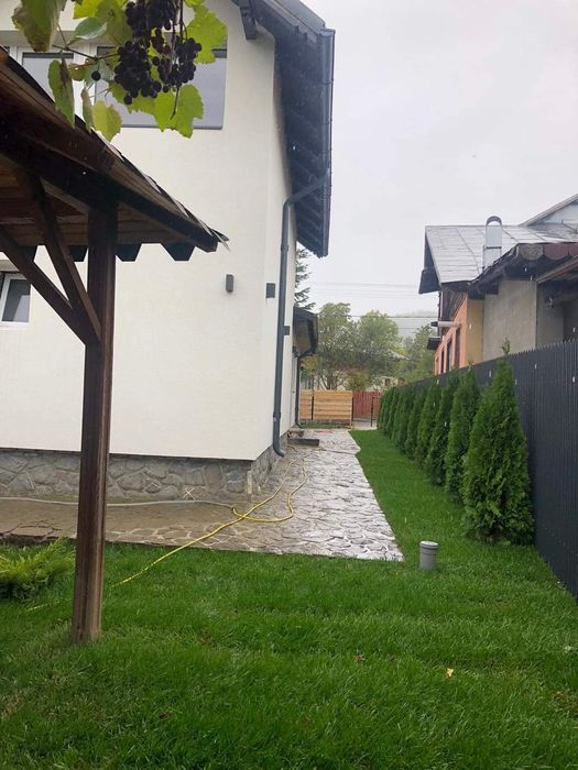 Plante ornamentale și rulou de gazon, livrare rapida oriunde în Țară