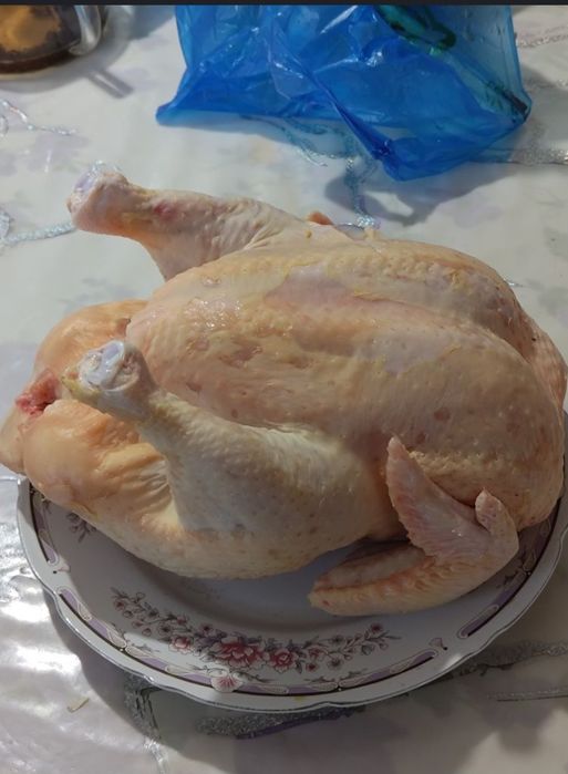 Домашний бролеры