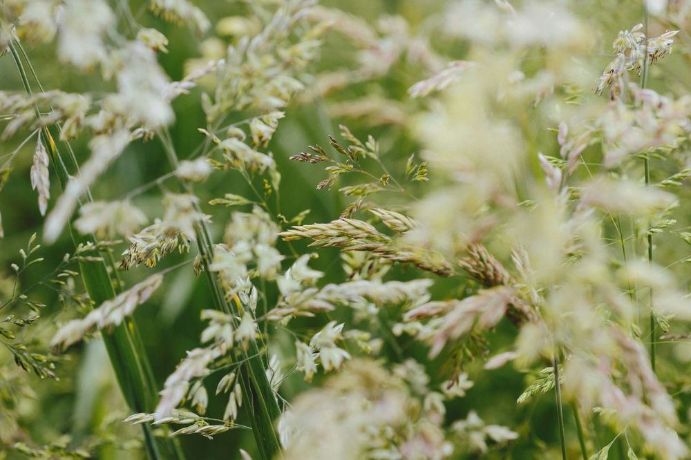 AF Nikon 60mm f/2.8D Macro Nikkor обектив Никон #1/2