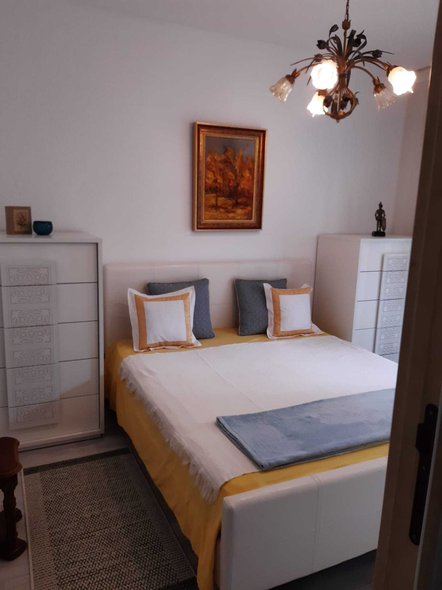 Apartament de lux in inima Copoului