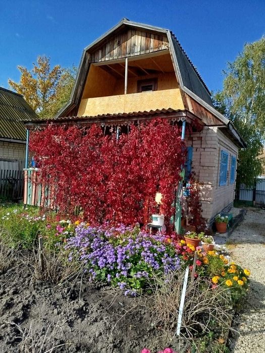 продам дачу с/о Борки