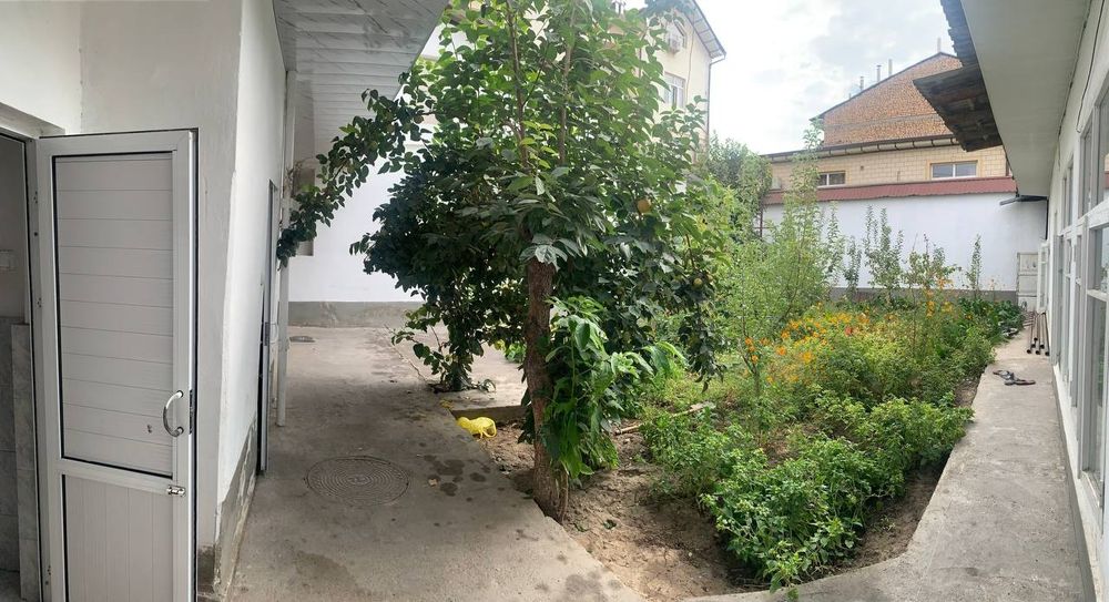 Срочно  Мирабадкий район
