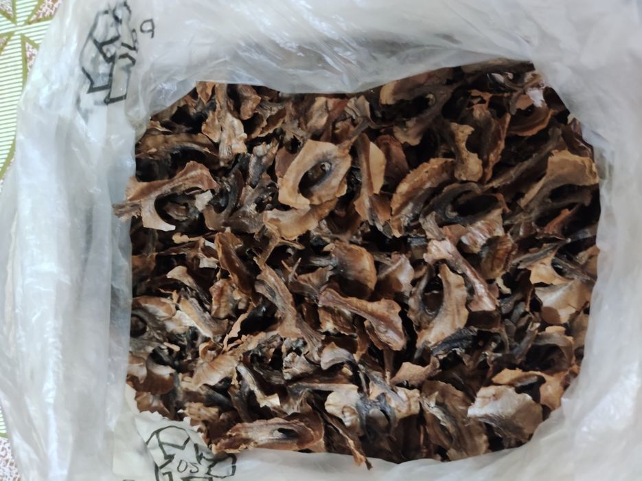 Перегородки от греческого ореха