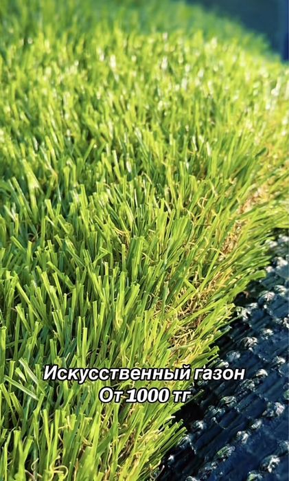 Продам газон от 1000 тг
