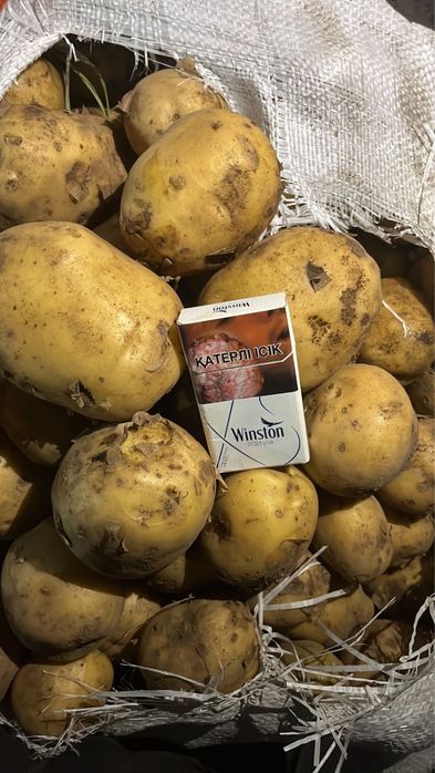 Овощи с доставкой( картофель, морковь, лук, капуста, свекла)