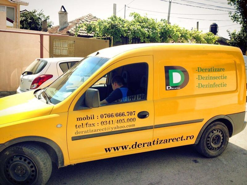 Dezinsectie, Dezinfectie si Deratizare