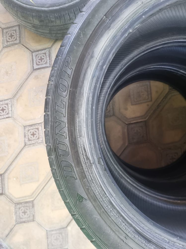 Шины Dunlop летние