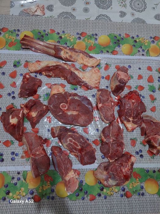 Мясо конина , молодняк!