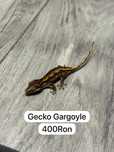 Soparla Gecko Gargoyle