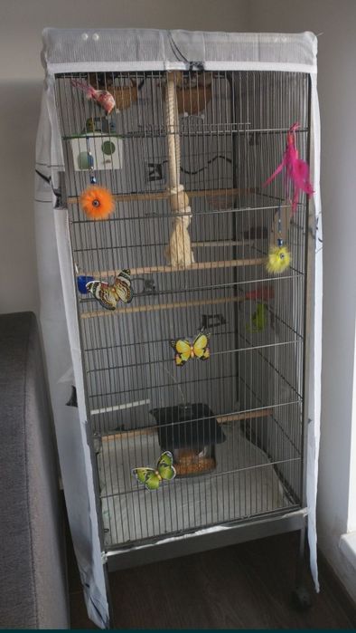 Îngrijire( cazare) pisicuțe și animăluțe de talie mică