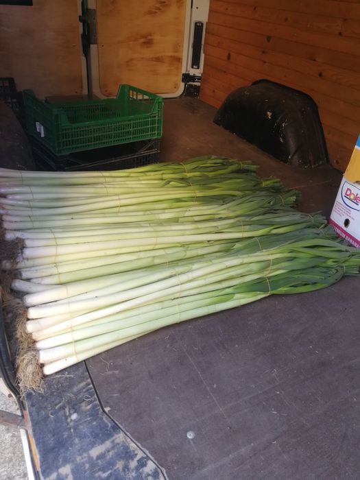 Семе за праз реколта 2025