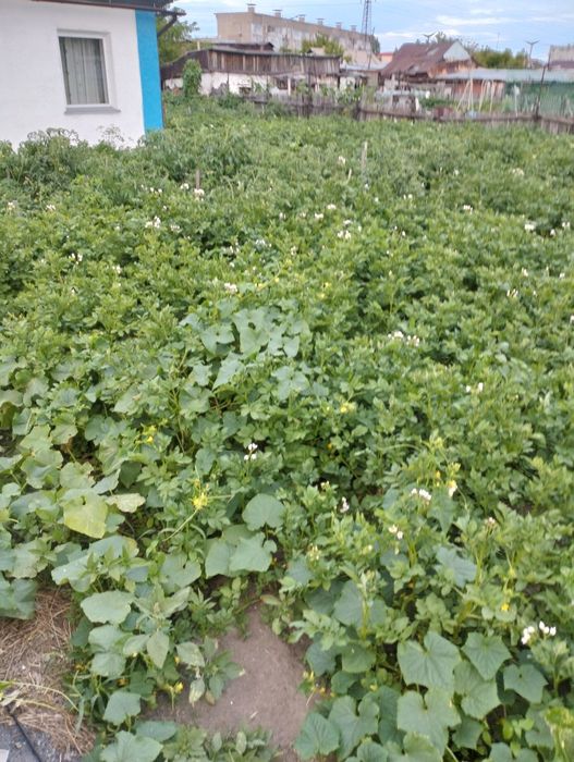 Продам частный дом