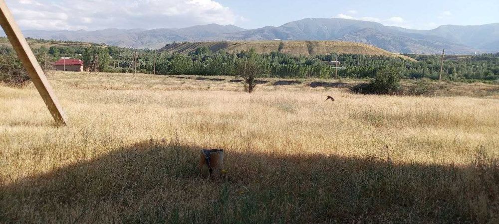 Хозяйство рыбное в Бахмальском районе Джиззакской области