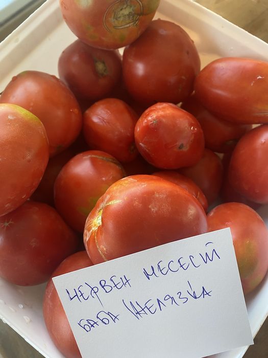 Нехибридни семена  230 броя  - 26 лв .