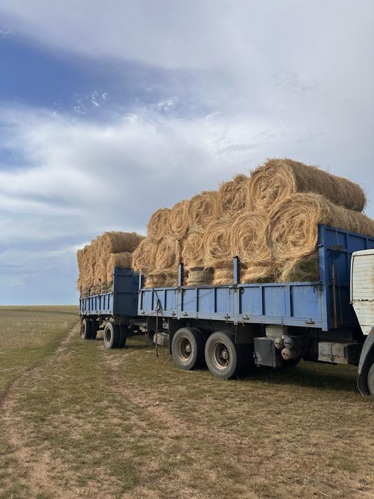 Продам сено житняк пр-110