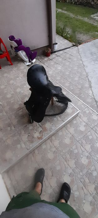 Sauă neagra din pele