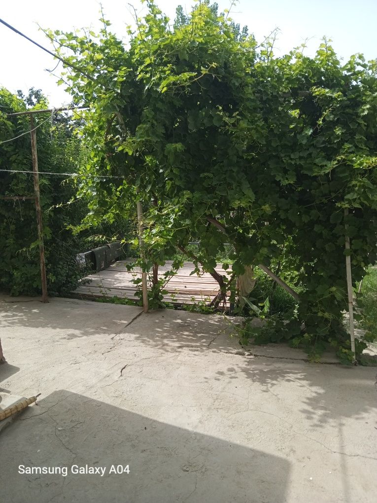 2 хонали квартира 1 каватда сотилади