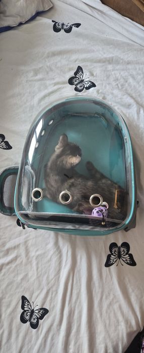 Geanta rucsac transport animale pisica sau caine