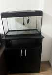 Acuvariu complet 54l