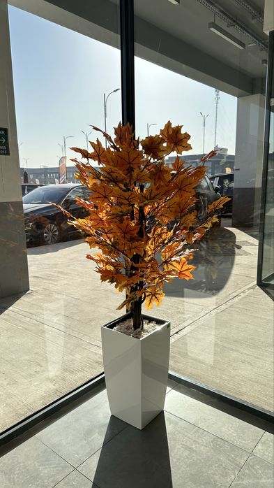 Oyiga 20 million so’m foyda ob keladigan tayyor biznes