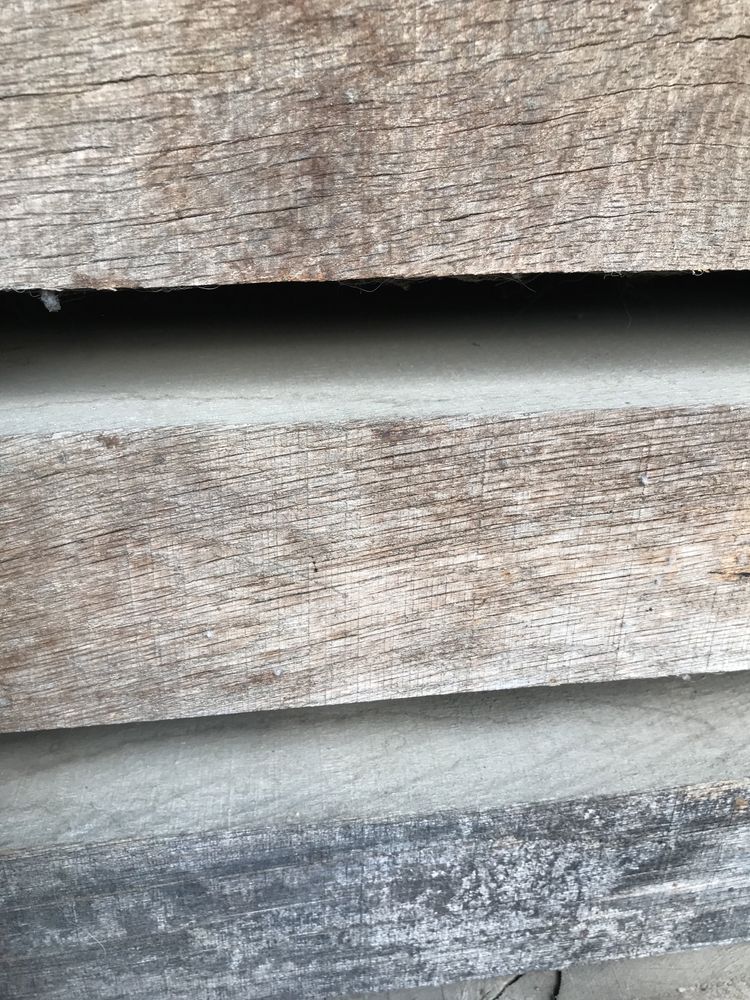 Stejar uscat natural