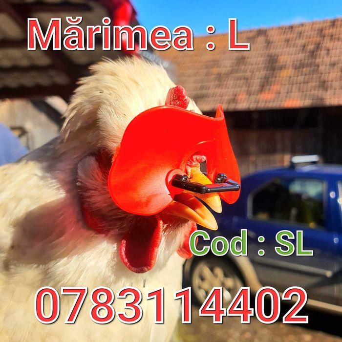 Gaini Fazani Pasari Pauni Curci- OCHELARI Anti Lupte Ciupit-FARA AC-SL