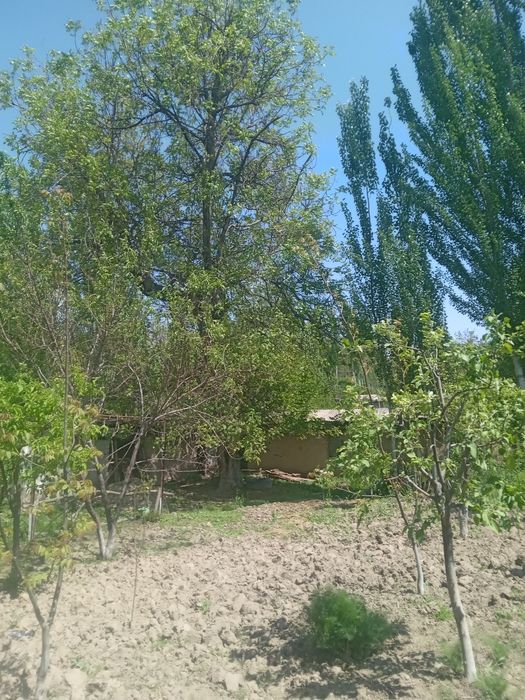 Бустонликда Уй сотилади тог ён багрида жойлашган ёки ерни ярми 110 000