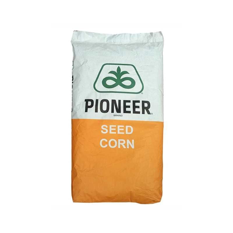 Seminte de porumb Pioneer P9889 Aquamax, LumiGEN,FAO 350, 80.000 boabe