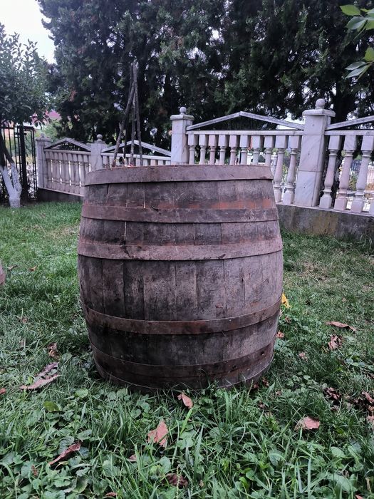 Cada struguri și butoi stejar