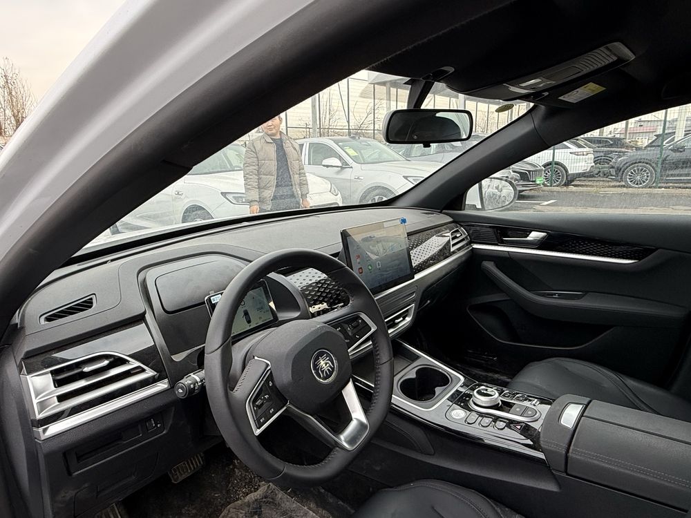 BYD Qin Plus (510km)
