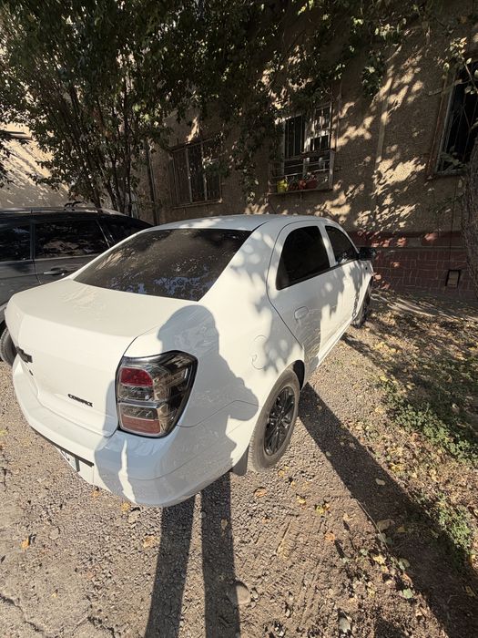 Коблт 2025 МИД Найт