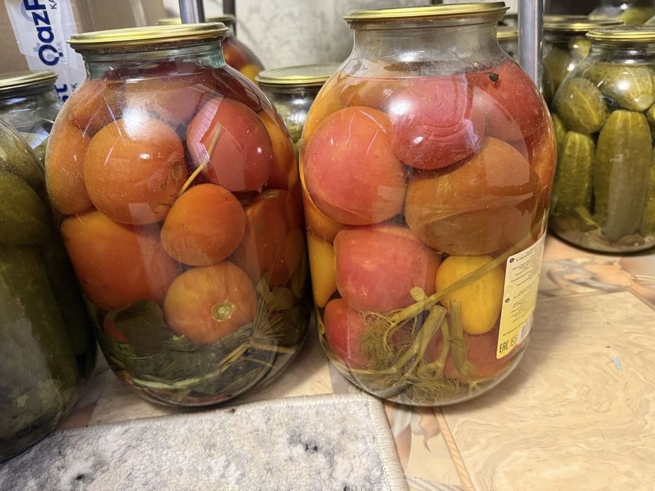 Продам помидоры маринованные