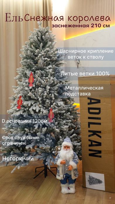 Ёлка, новогодние ёлки, заснеженные Ёлки