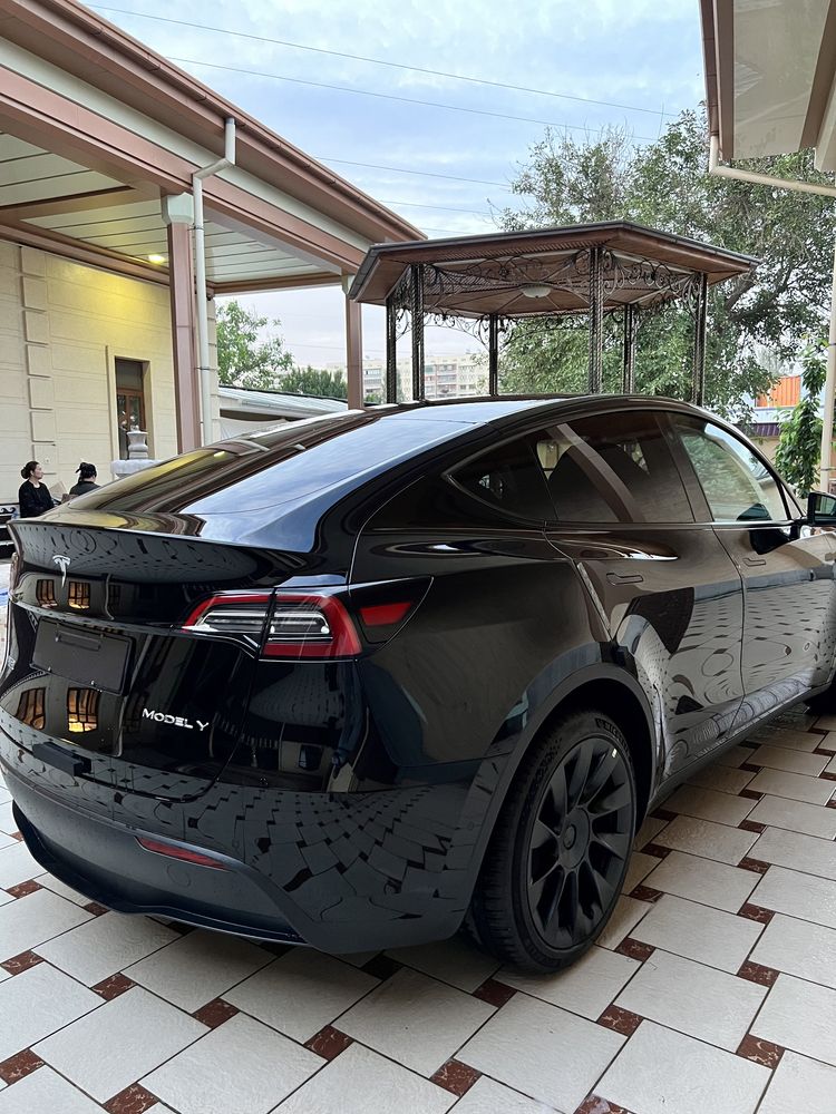 Tesla Model Y single motor performance 2023