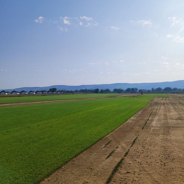 Rulouri gazon - irigatii - producator