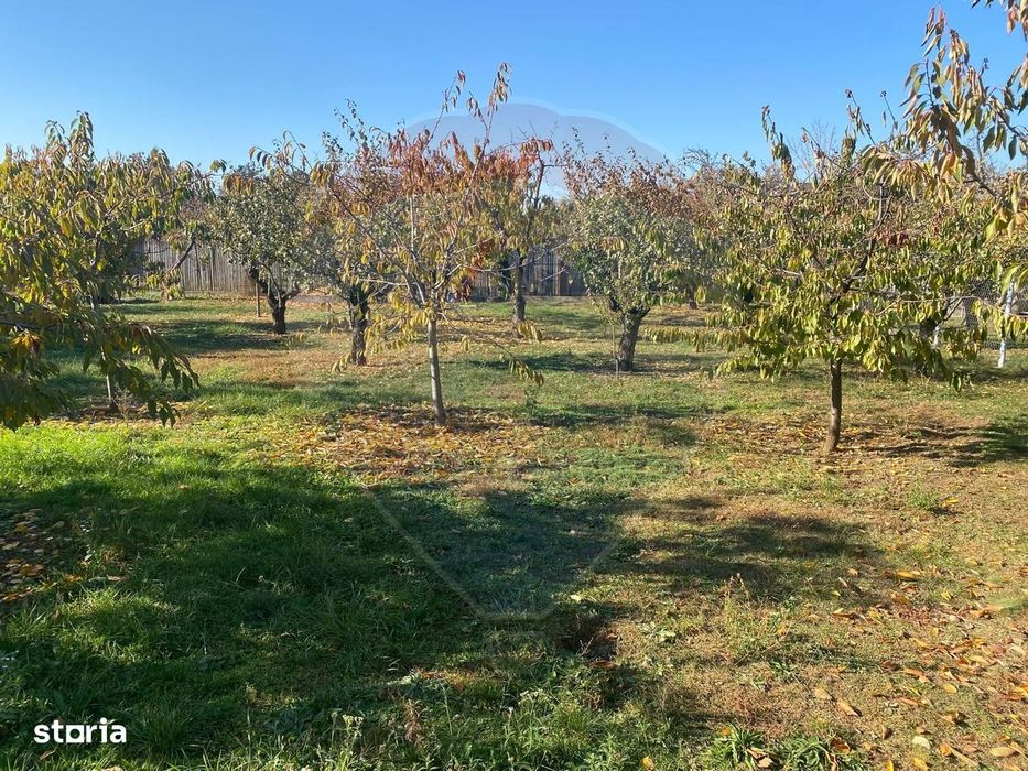 DE VANZARE Teren 1,520mp Paulestii Noi / Prahova
