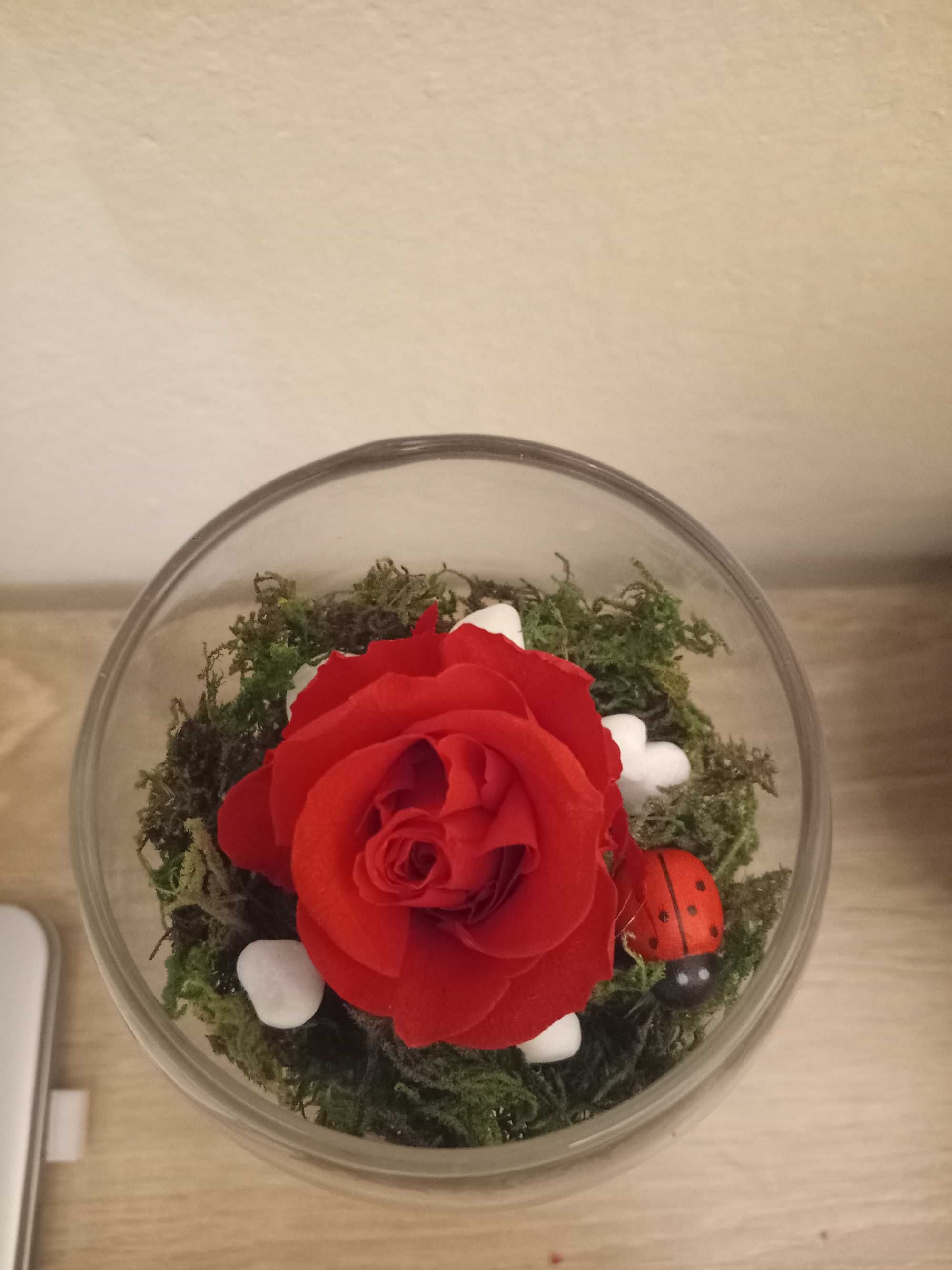 Букет от мини рози вечни/дехидратирани/истински