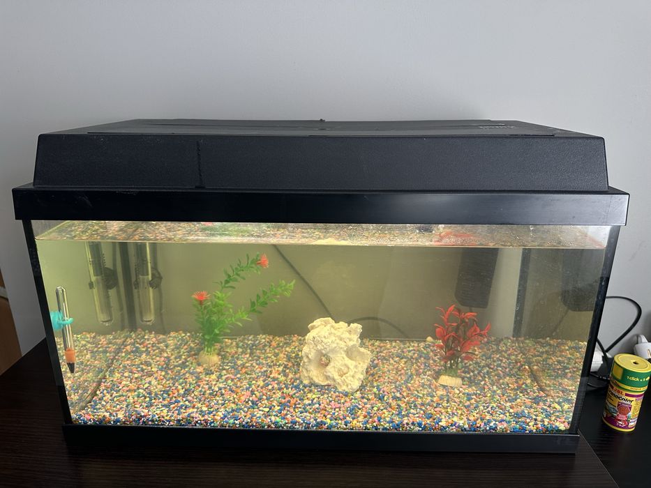 Vand acvariu pentru pesti