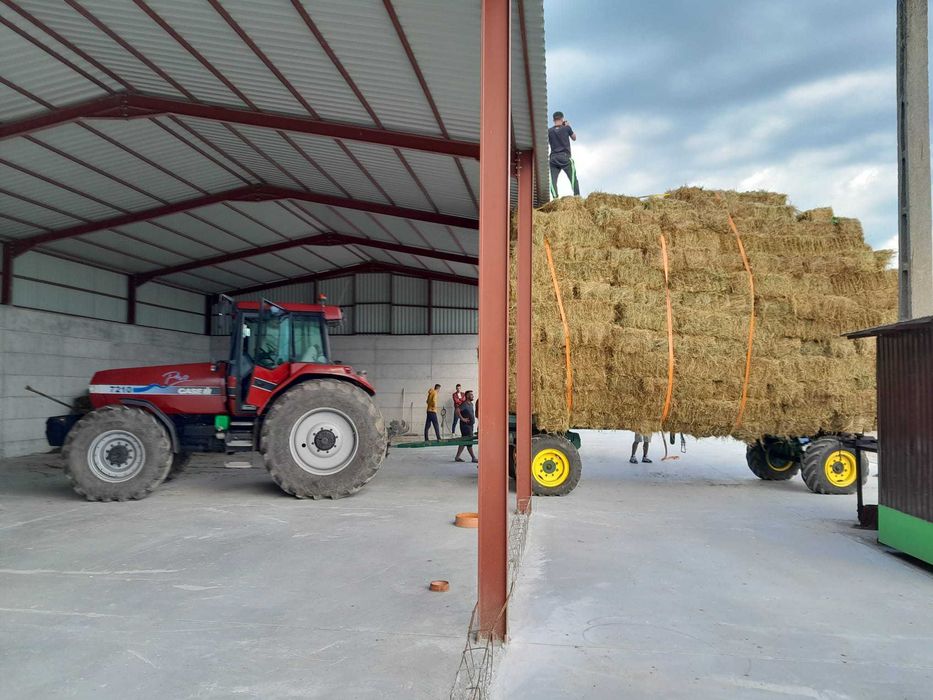 Baloti de paie dreptunghiulari