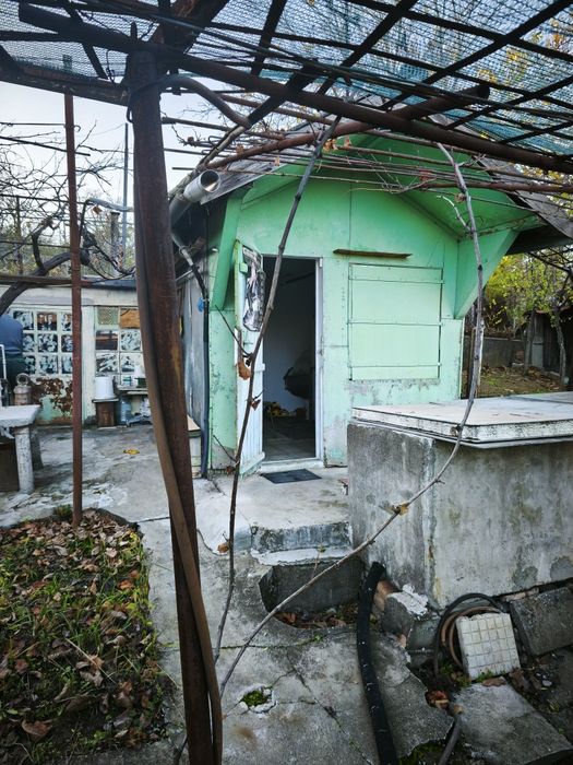 Продавам лозе с постройка