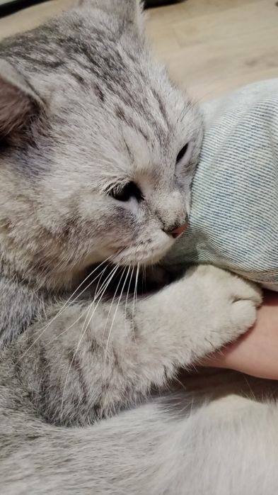 Бросили и переехали